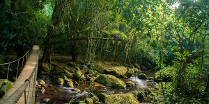 cachoeira do gato (5)